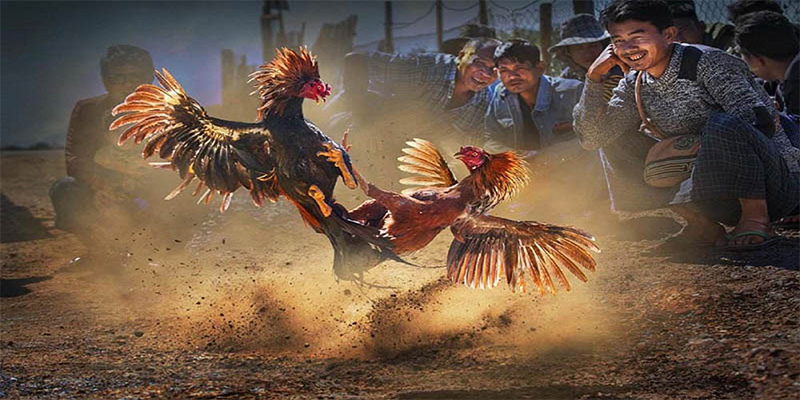 f8bet10 vip chơi bắn cá đổi thưởng