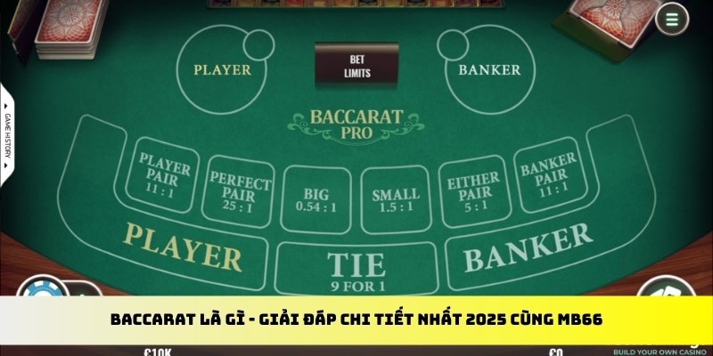 f8bet10 vip gà chọi cu cần