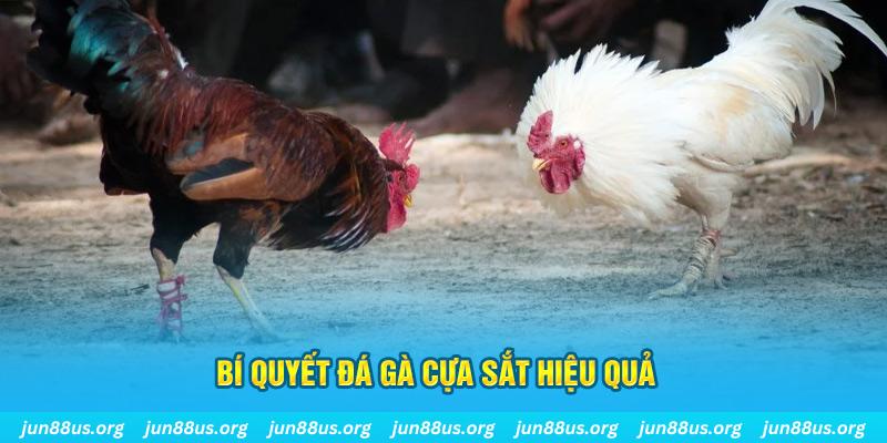 f8bet10 vip xin 1 slot là gì