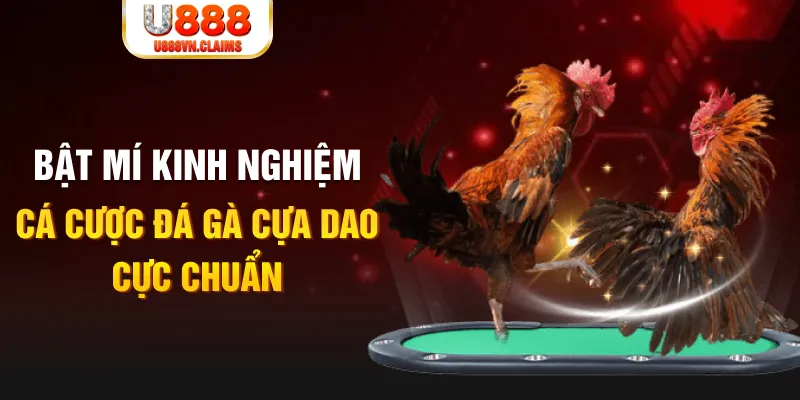 f8bet10 vip tỷ lệ cá cược châu á là gì