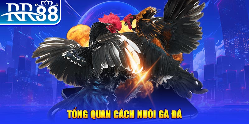 f8bet10 vip VA Điện Tử