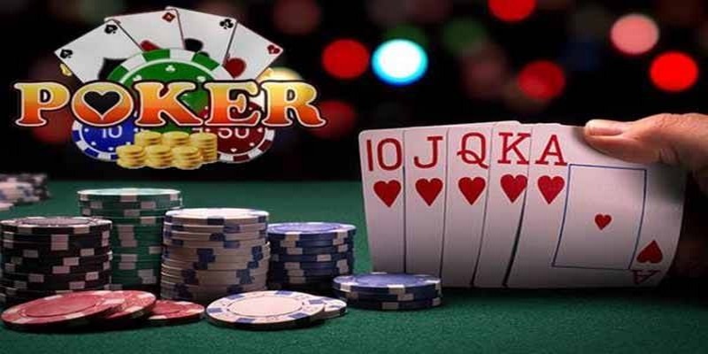 f8bet10 vip đá gà thomo trực tiếp
