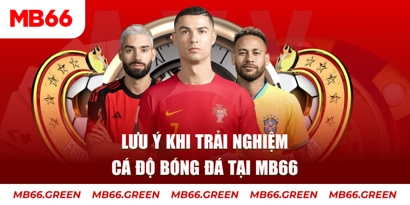 f8bet10 vip cá cược là gì