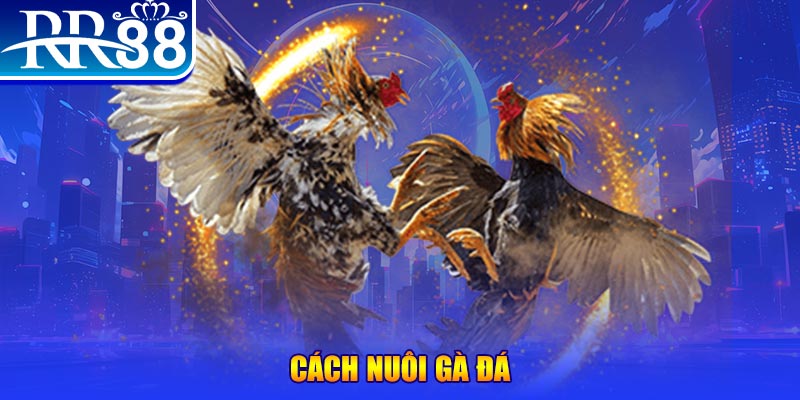 f8bet10 vip xổ số an giang