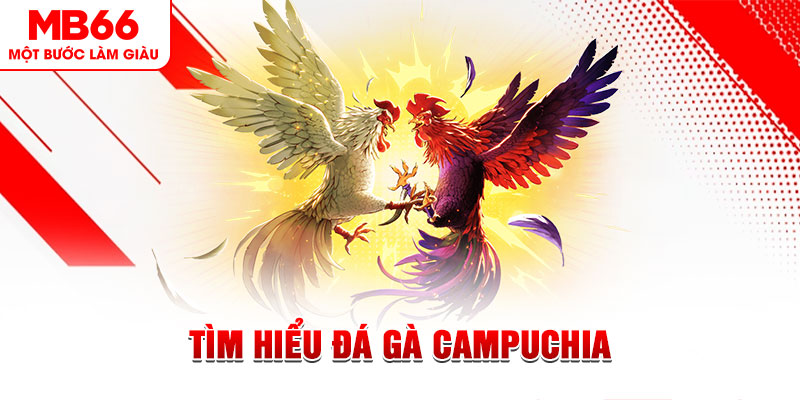 f8bet10 vip đá gà trực tiếp