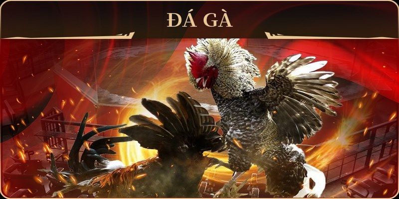 f8bet10 vip xổ số miền nam thứ hai