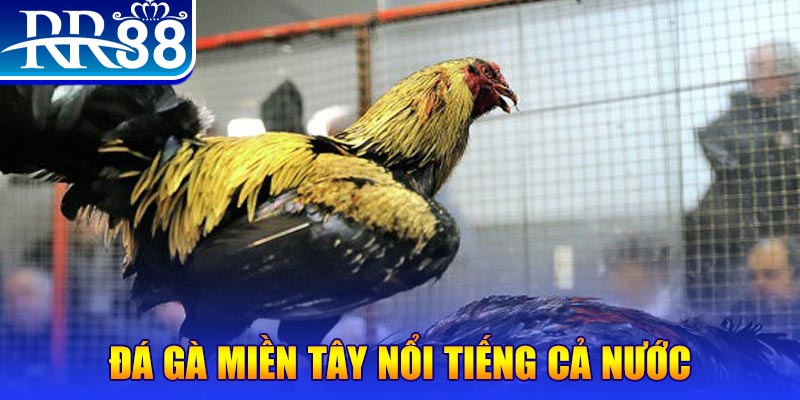 f8bet10 vip JILI Game Bài 3d