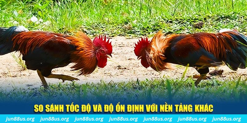 f8bet10 vip đá gà hôm nay