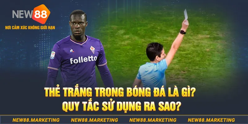 f8bet10 vip gà chọi mộc hóa