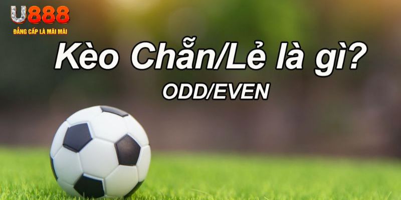 f8bet10 vip đăng nhập poker hôm nay
