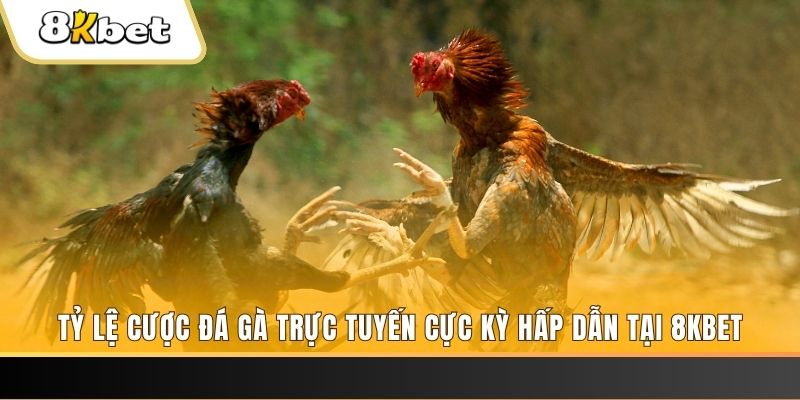 f8bet10 vip xổ số trực tiếp miền bắc