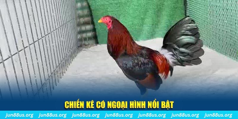 f8bet10 vip chạy quảng cáo cho game bài bị phạt như thế nào