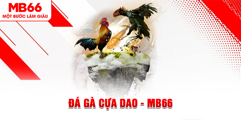 f8bet10 vip đá gà sv388 gold