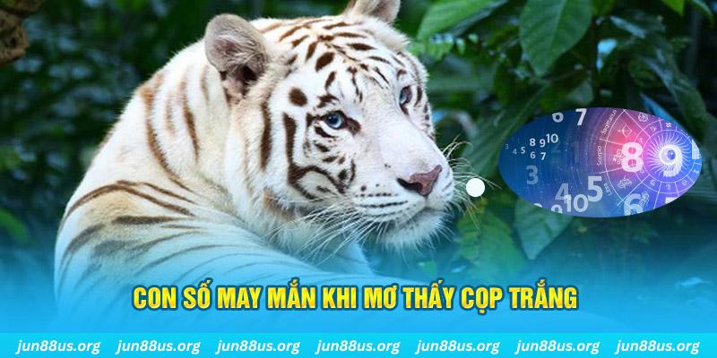 f8bet10 vip đá gà trực tiếp 88